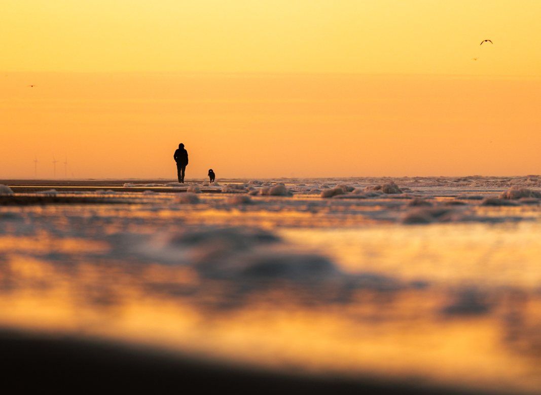 Spaziergänger mit Hund am Strand von Bergen aan Zee bei Sonnenuntergang